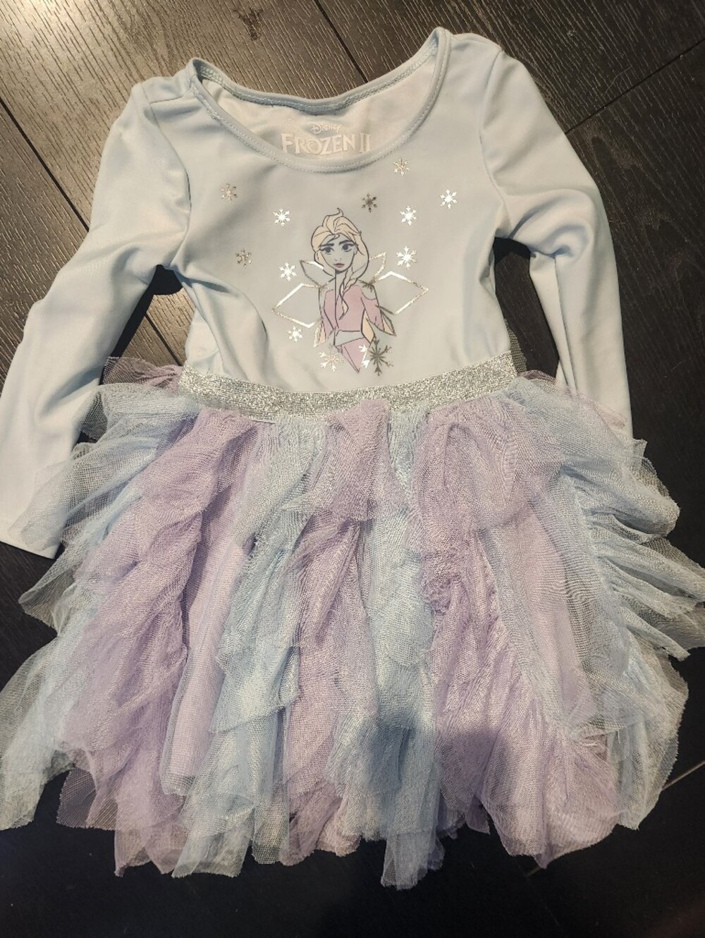 Disney Frozen II Elsa Light Blue & Lavender Tutu Costume Dress